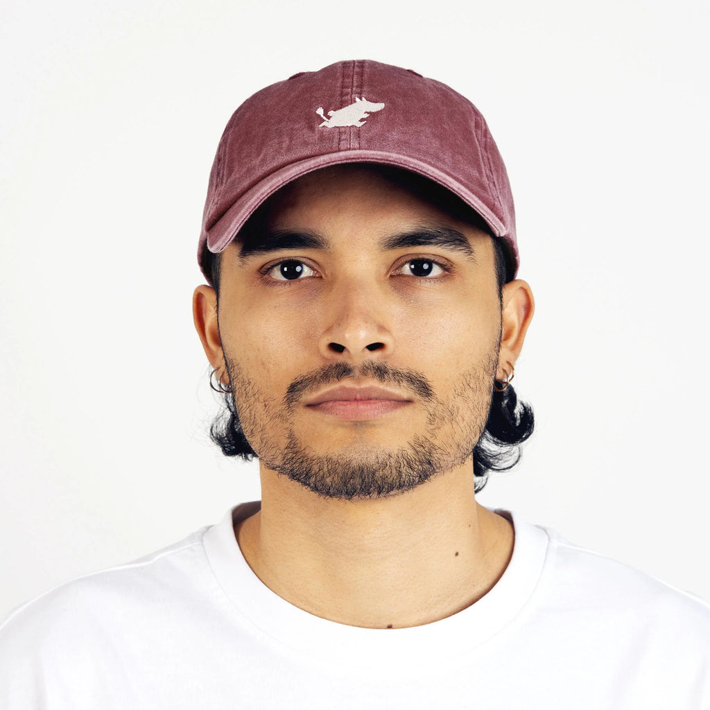 Dad Cap – MOOMIN90D